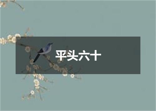 平头六十