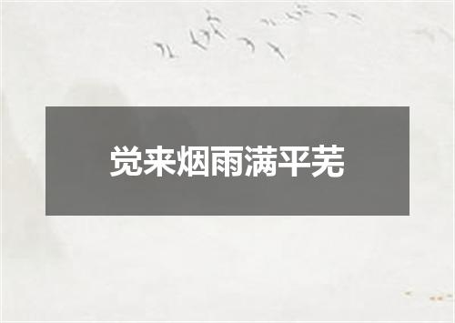 觉来烟雨满平芜