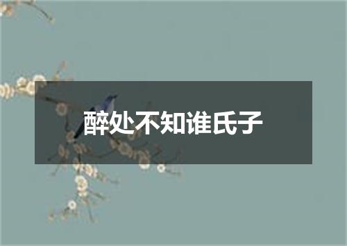 醉处不知谁氏子