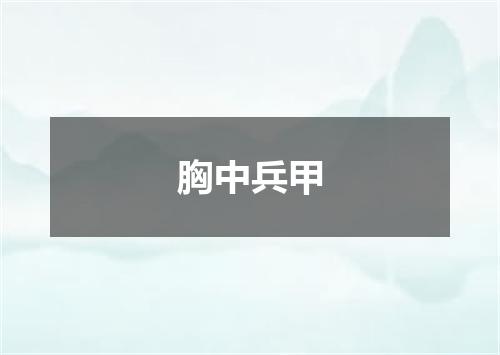 胸中兵甲