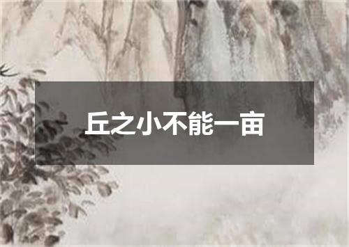 丘之小不能一亩