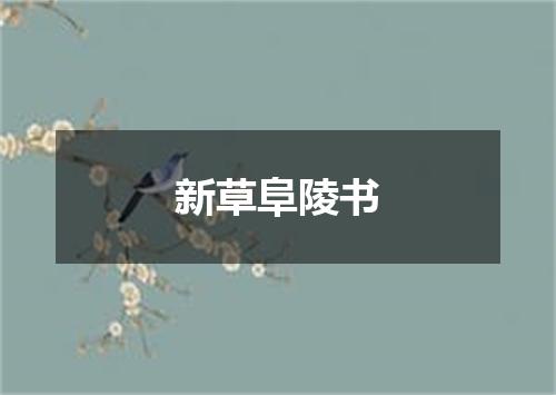 新草阜陵书