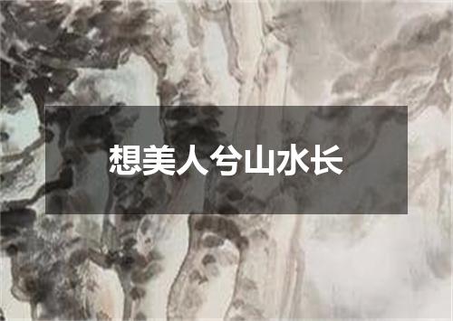 想美人兮山水长