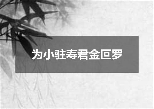 为小驻寿君金叵罗