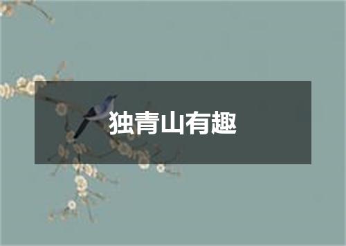 独青山有趣