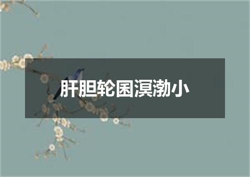 肝胆轮囷溟渤小