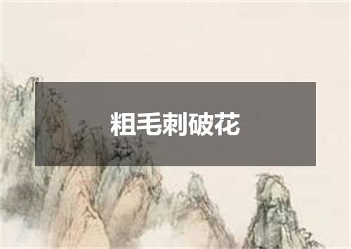 粗毛刺破花
