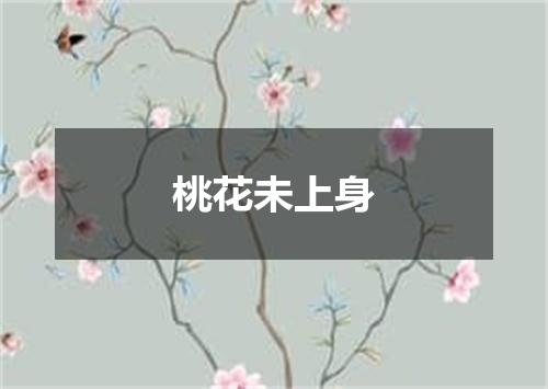 桃花未上身