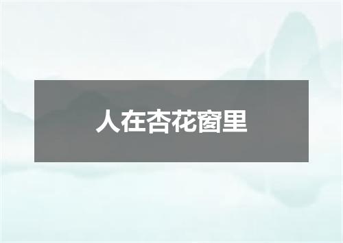 人在杏花窗里