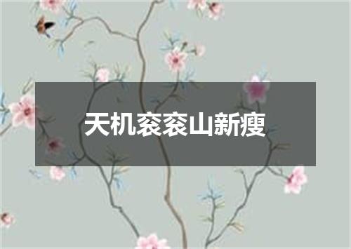 天机衮衮山新瘦