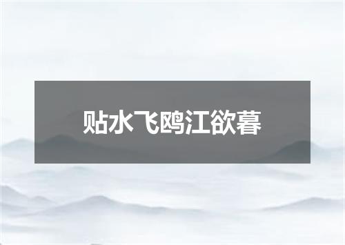 贴水飞鸥江欲暮