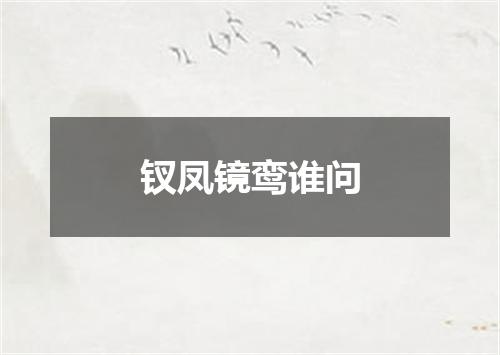 钗凤镜鸾谁问