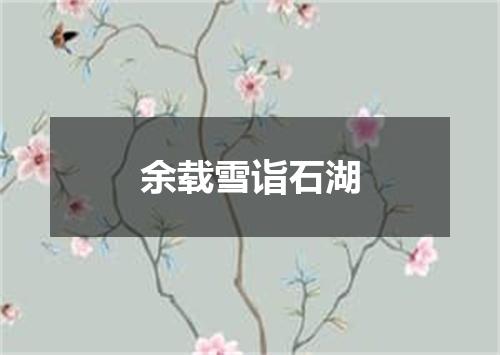 余载雪诣石湖
