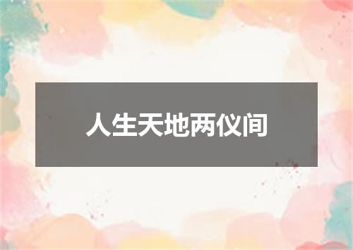 人生天地两仪间