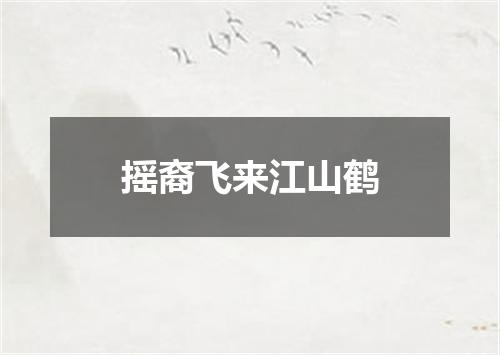 摇裔飞来江山鹤