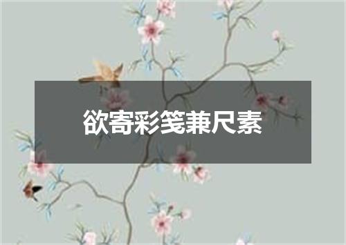 欲寄彩笺兼尺素