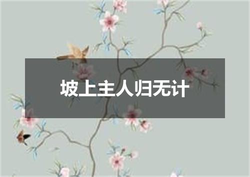 坡上主人归无计