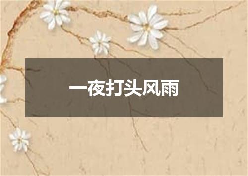 一夜打头风雨