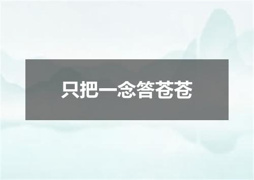 只把一念答苍苍