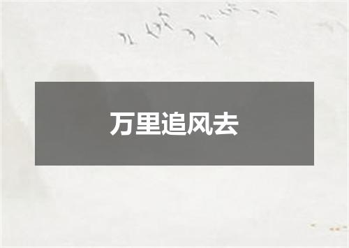 万里追风去