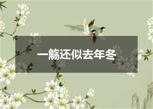 一觞还似去年冬