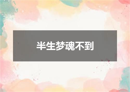 半生梦魂不到