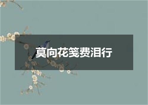 莫向花笺费泪行