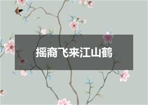 摇裔飞来江山鹤