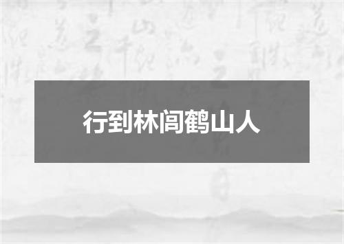 行到林闾鹤山人