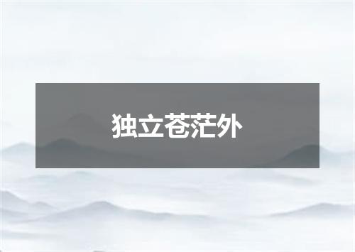 独立苍茫外