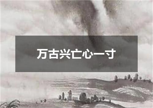 万古兴亡心一寸