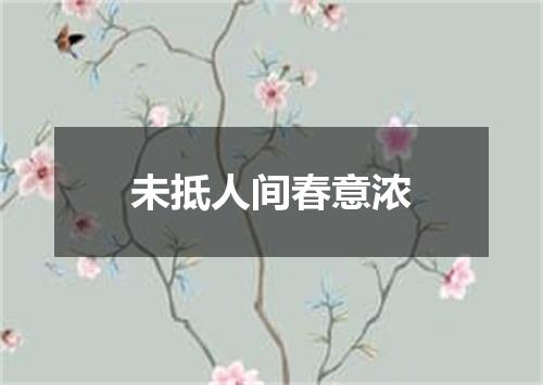 未抵人间春意浓