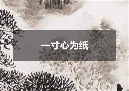 一寸心为纸