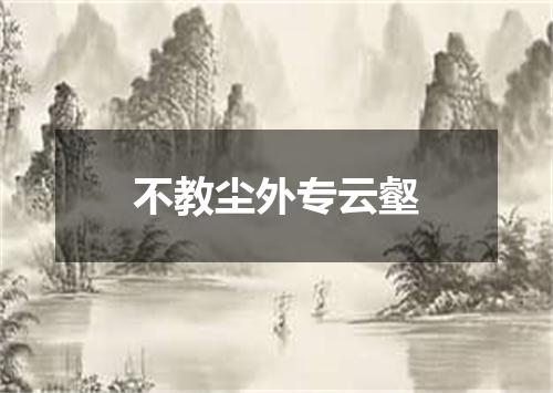 不教尘外专云壑