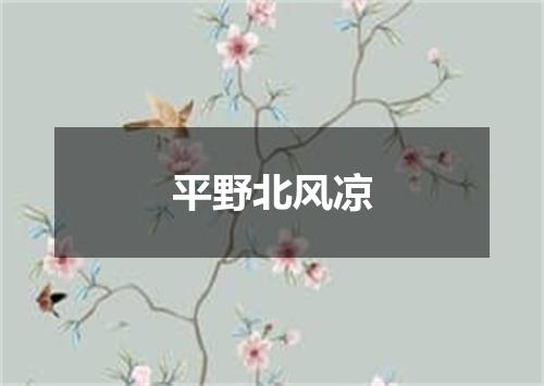 平野北风凉