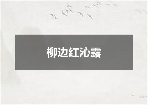 柳边红沁露