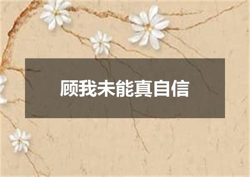 顾我未能真自信
