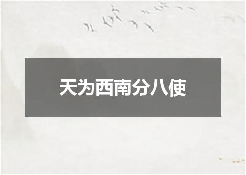 天为西南分八使