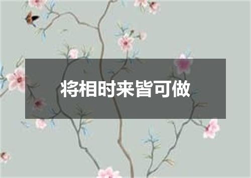 将相时来皆可做