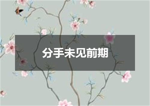 分手未见前期