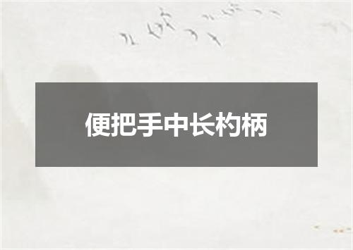 便把手中长杓柄