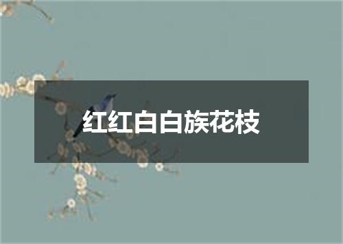 红红白白族花枝