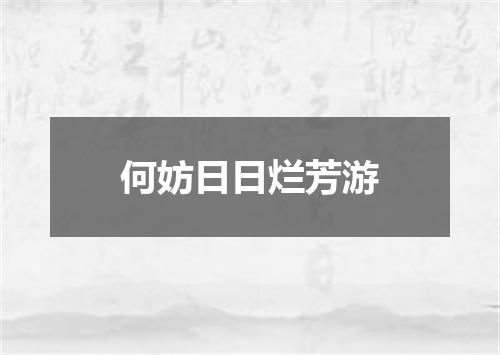 何妨日日烂芳游