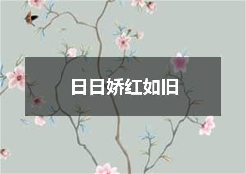 日日娇红如旧