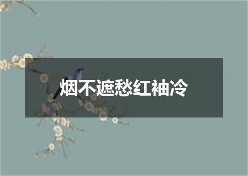烟不遮愁红袖冷