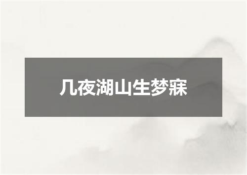 几夜湖山生梦寐