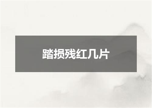 踏损残红几片