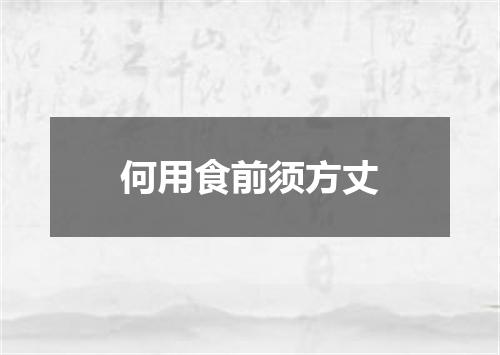 何用食前须方丈