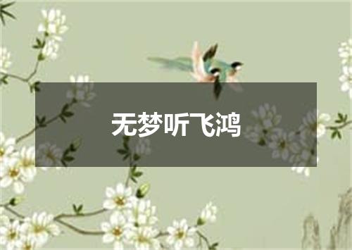 无梦听飞鸿