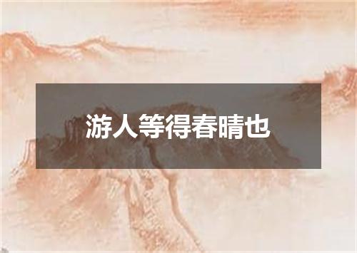 游人等得春晴也